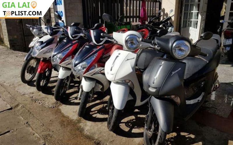 Thái Sơn dịch vụ chuyên nghiệp và giao xe tận nơi